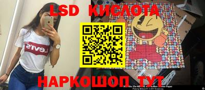 амф Донской