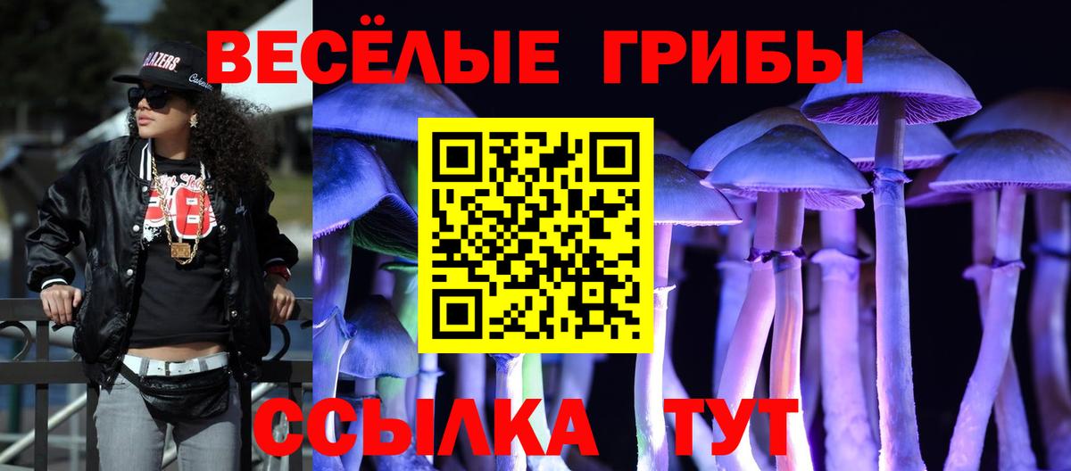 Псилоцибиновые грибы прущие грибы Муром