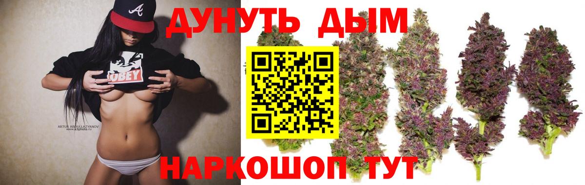 Каннабис план  Канабис конопля  Муром  Марихуана марихуана  Вход с VPN 